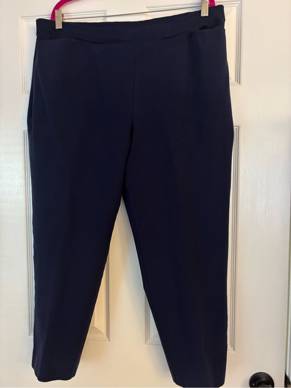 Women’s pints knit ankle pants